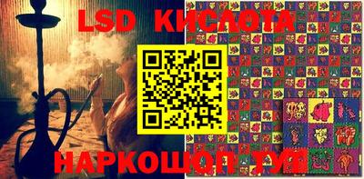 спиды Новодвинск