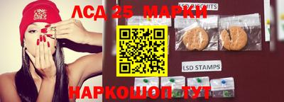 спиды Новодвинск
