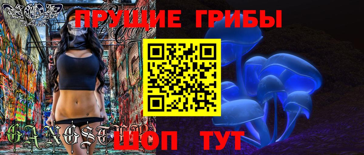 Псилоцибиновые грибы прущие грибы Среднеуральск